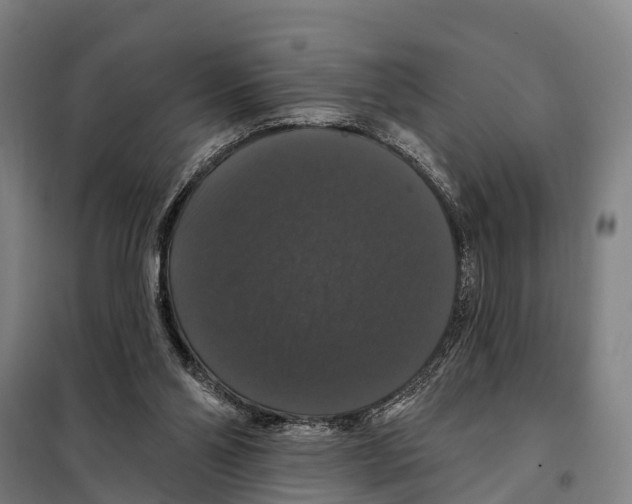 X0000097990110200804211115