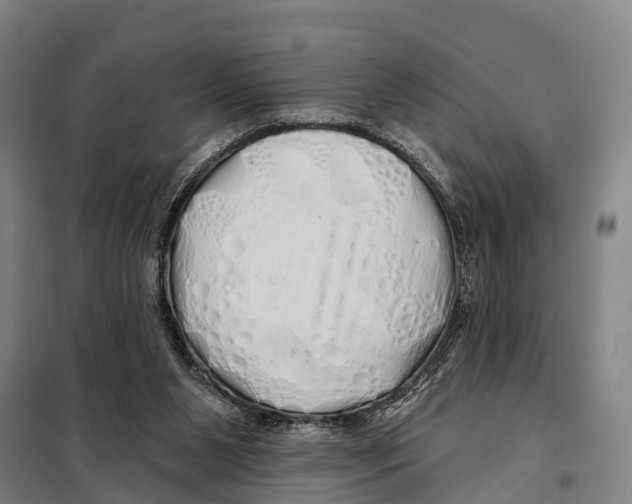 X0000097990111200804211115