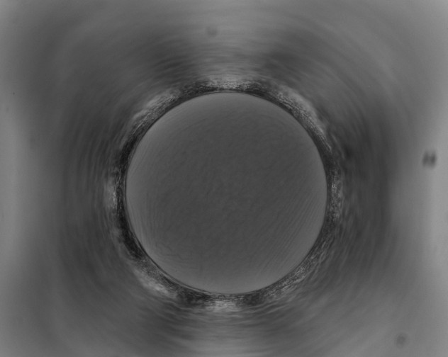 X0000097990114200804211114