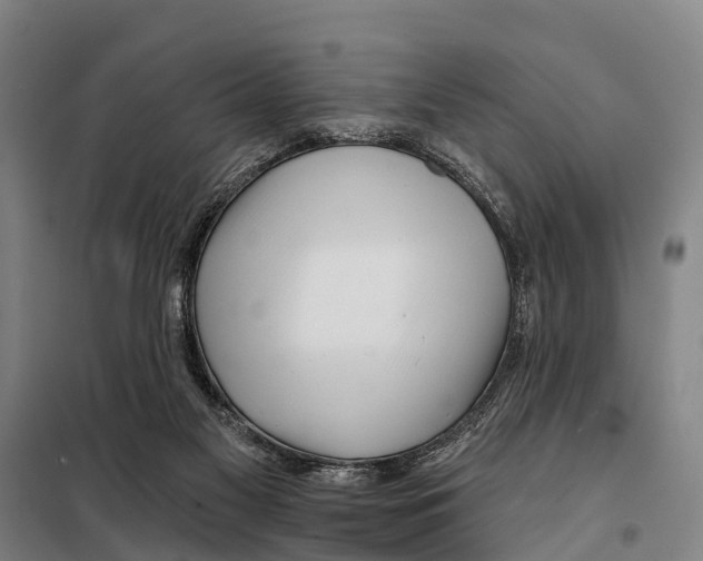 X0000097990117200804211114