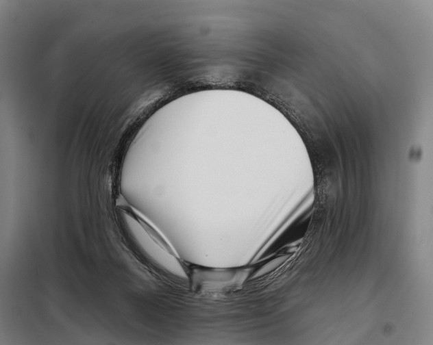 X0000097990120200804211114