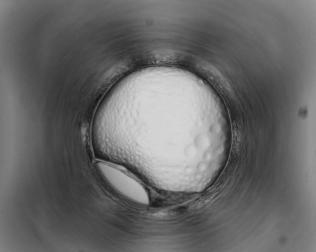 X0000097990123200804211114