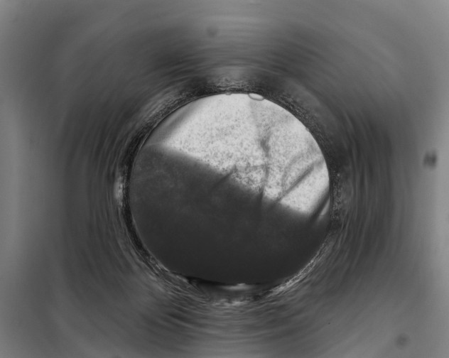 X0000097990124200804211114