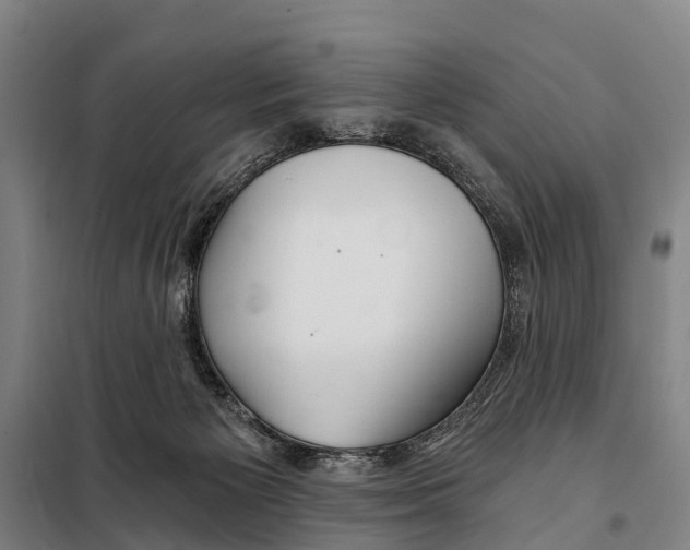 X0000097990125200804211114