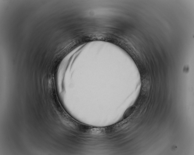 X0000097990126200804211114