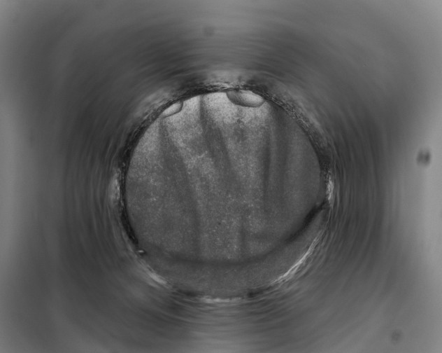 X0000097990128200804211114