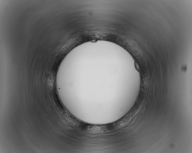 X0000097990129200804211114