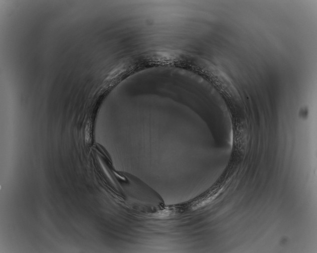 X0000097990131200804211114