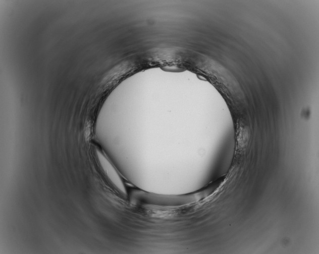 X0000097990132200804211114