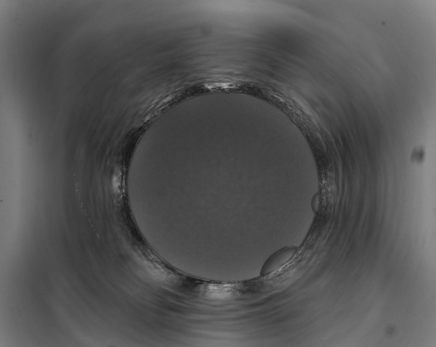 X0000097990134200804211114