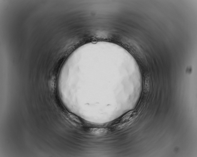 X0000097990135200804211114