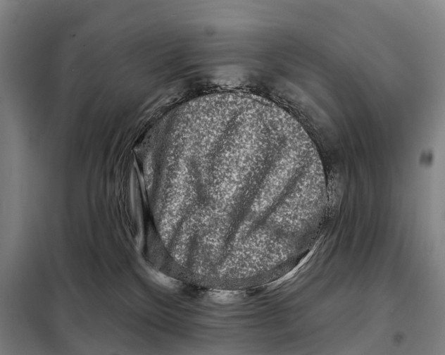 X0000097990136200804211114