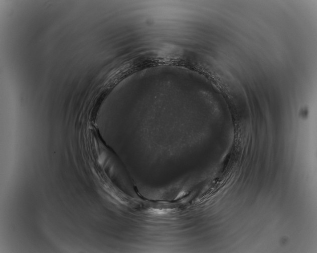 X0000097990137200804211114