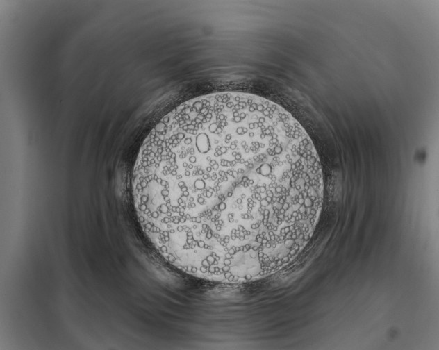 X0000097990138200804211114