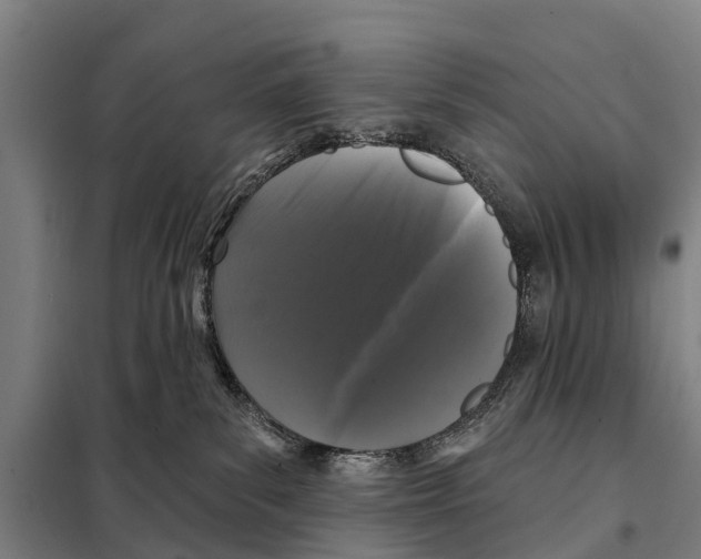 X0000097990139200804211114