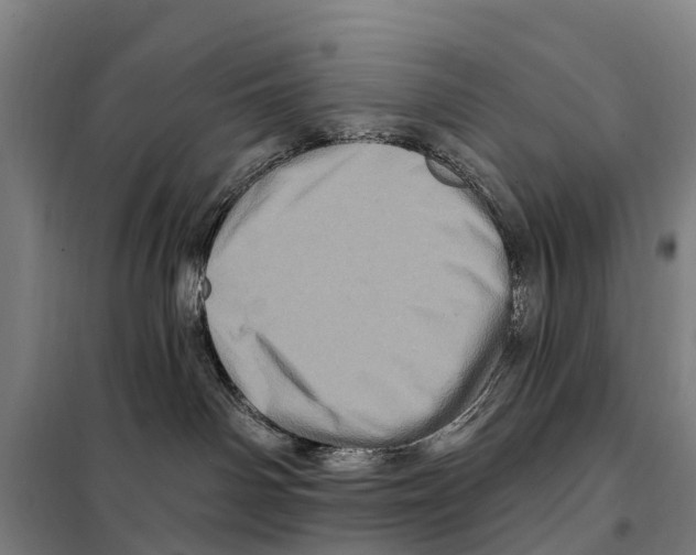 X0000097990142200804211114