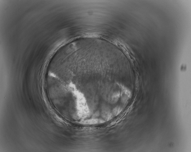 X0000097990145200804211113