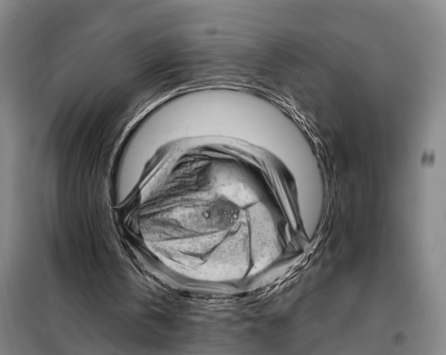 X0000097990146200804211113