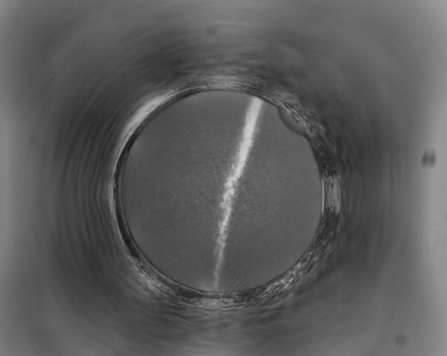 X0000097990147200804211113