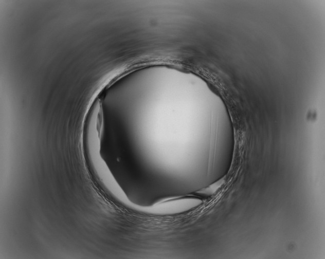 X0000097990148200804211113