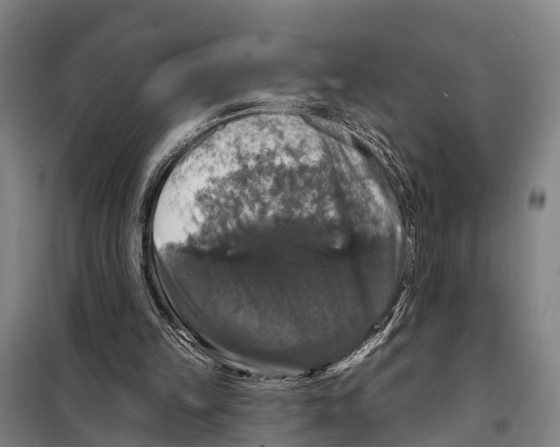 X0000097990149200804211113