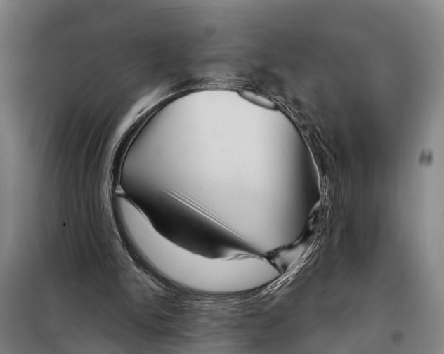 X0000097990150200804211113