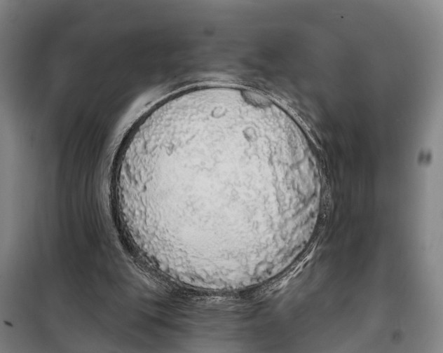 X0000097990151200804211113