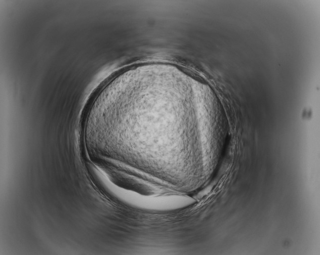 X0000097990152200804211113