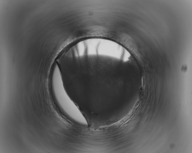 X0000097990156200804211113