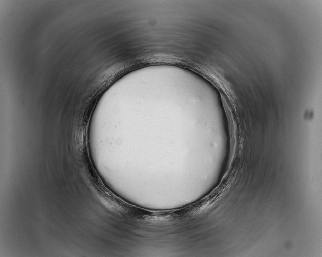 X0000097990157200804211113