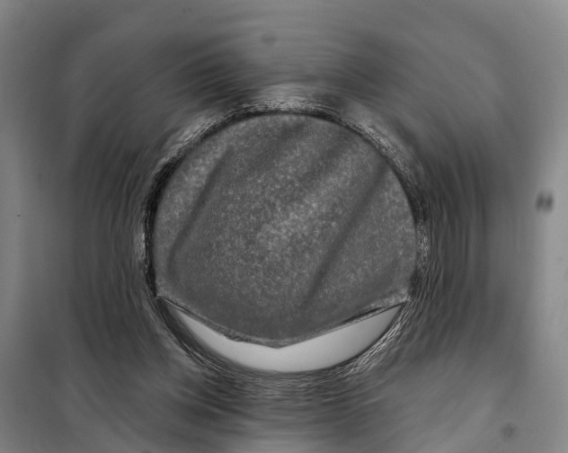 X0000097990158200804211113