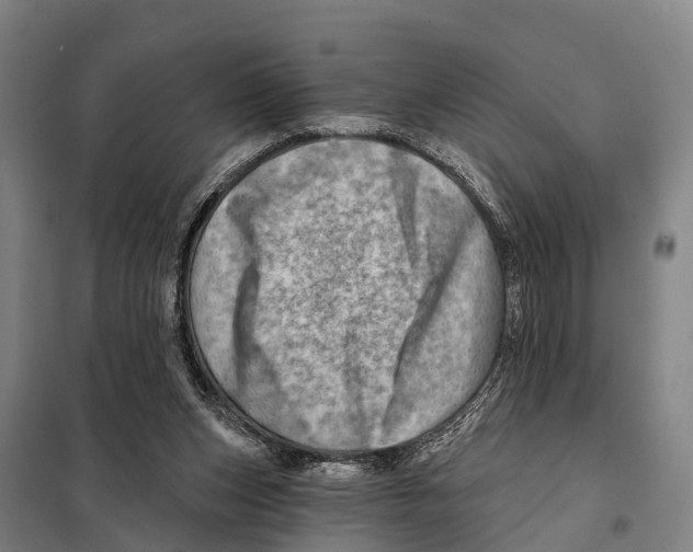 X0000097990159200804211114