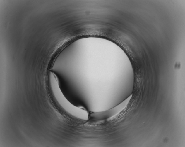 X0000097990160200804211114