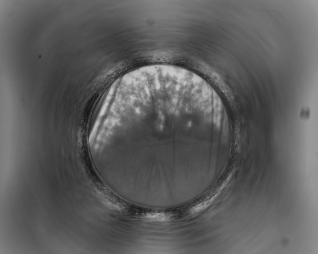 X0000097990161200804211114