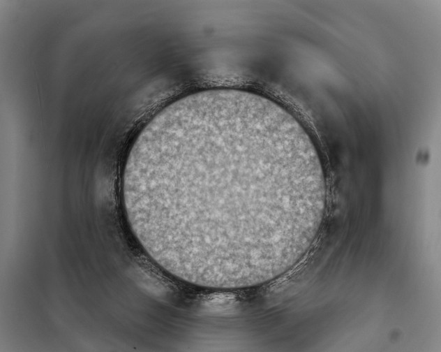 X0000097990162200804211114