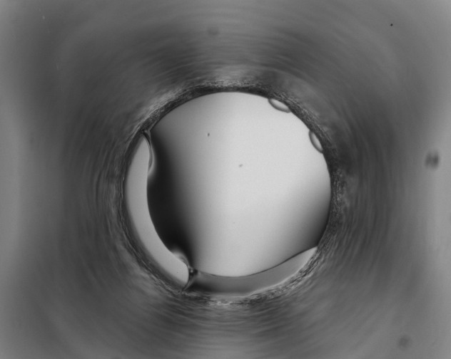 X0000097990164200804211114