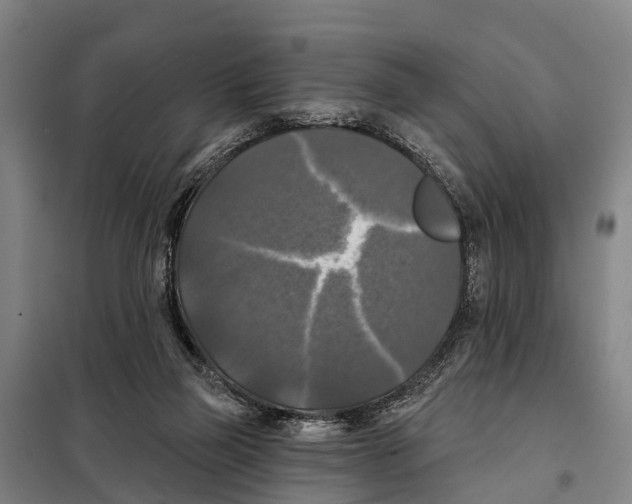 X0000097990165200804211114