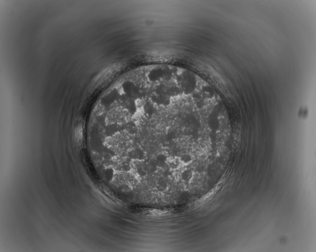 X0000097990166200804211114