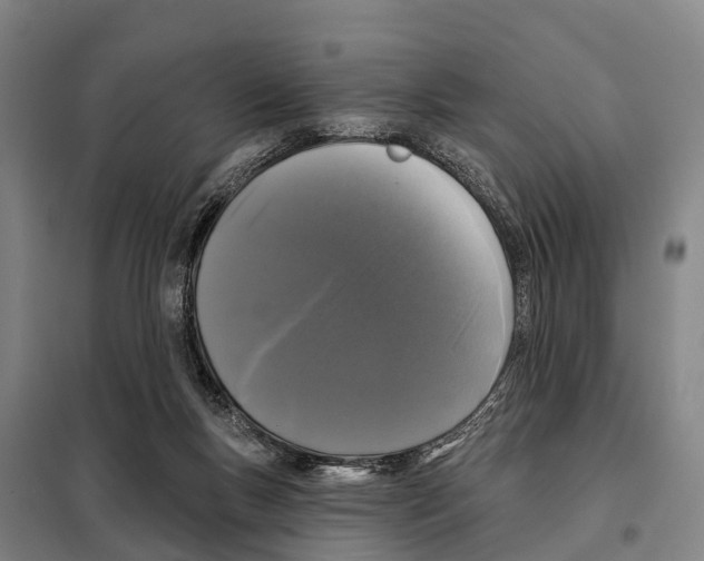 X0000097990167200804211114