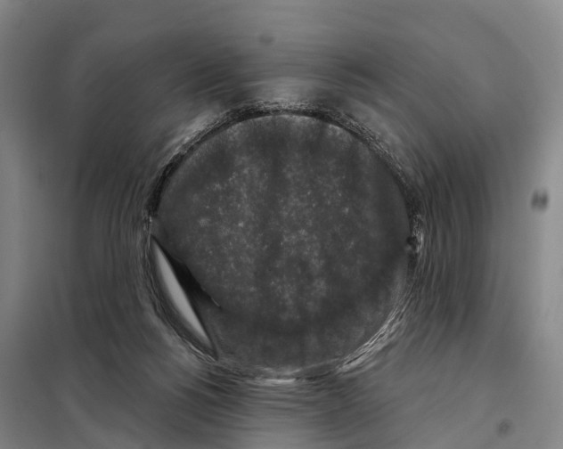 X0000097990168200804211114