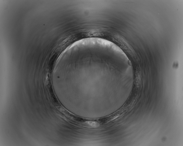 X0000097990169200804211114