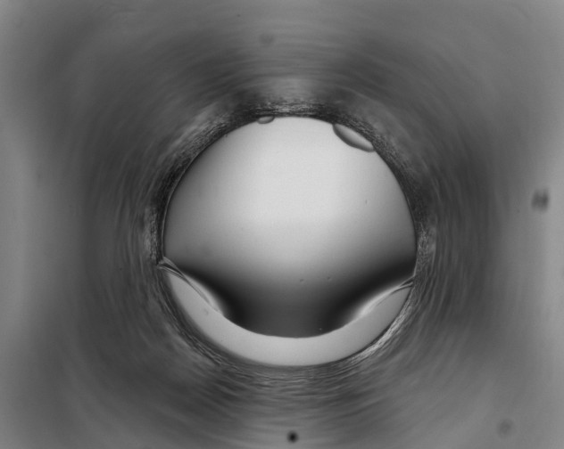 X0000097990170200804211114