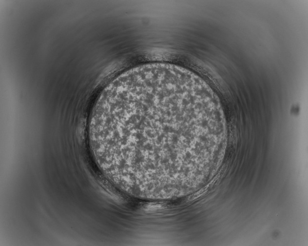 X0000097990171200804211114