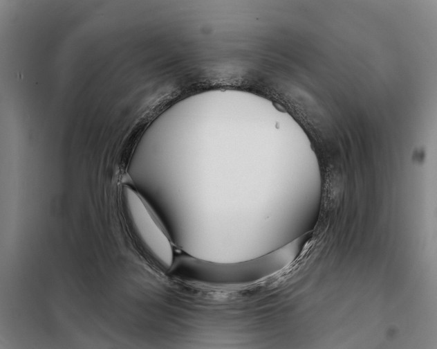 X0000097990172200804211114