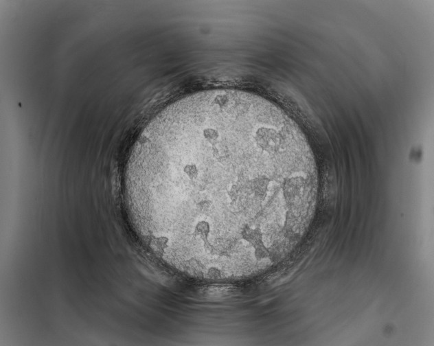 X0000097990173200804211114