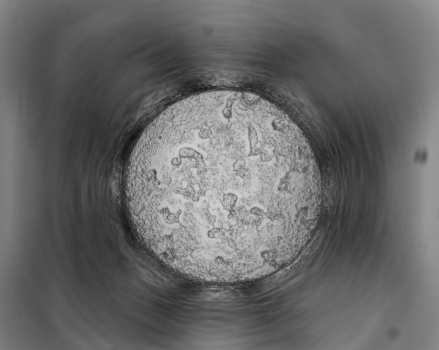 X0000097990175200804211114