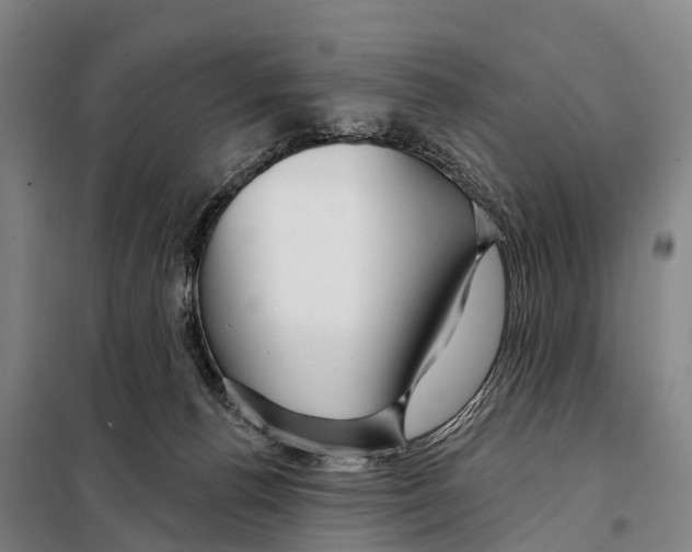 X0000097990176200804211114