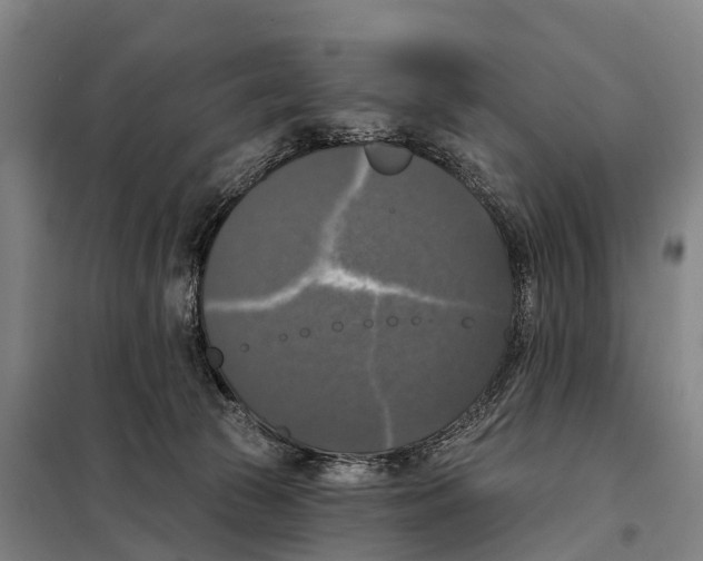 X0000097990177200804211114