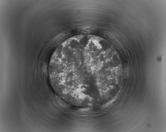 X0000097990178200804211114