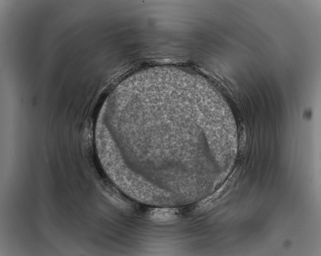 X0000097990179200804211114